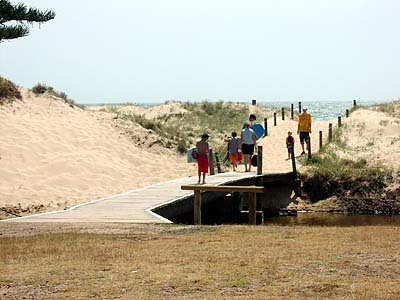 The beach at Blackhead