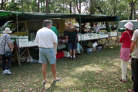 The fruit and vegie stand at the Blackhead markets